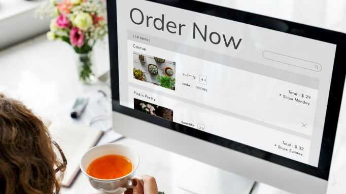 e-commerce-online-shopping-plant-sale_optimized.jpg