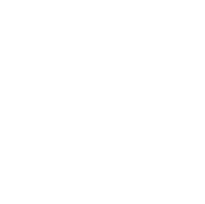 rebel-bean